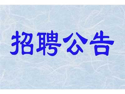 聊城市三實人力資源服務(wù)有限公司招聘社會化工作者公告